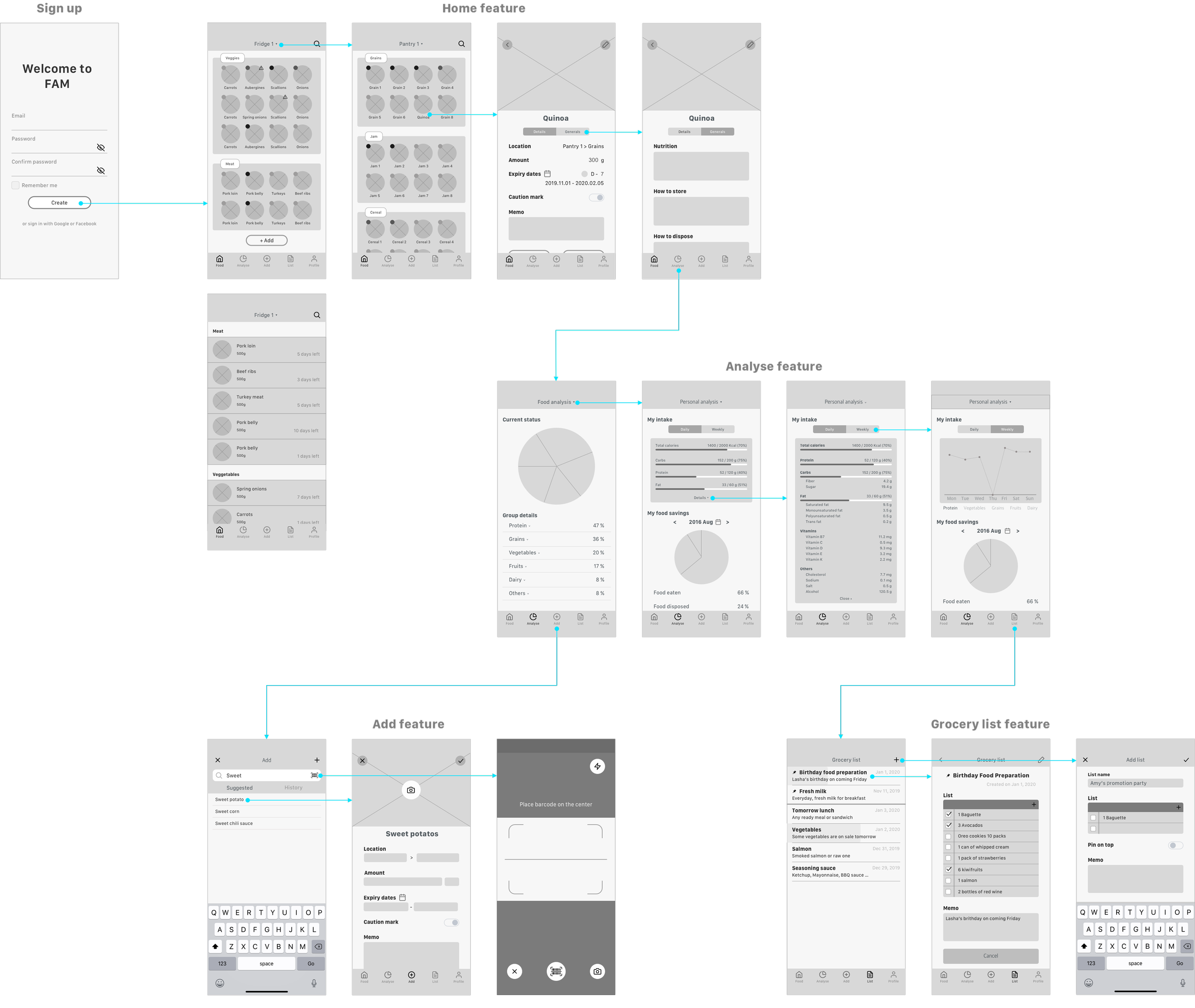 FAM wireframes